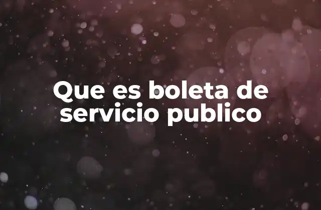 Que es Boleta de Servicio Publico