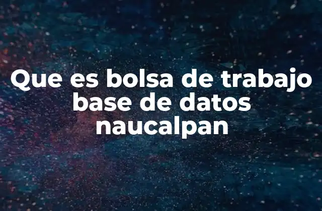 Que es Bolsa de Trabajo Base de Datos Naucalpan