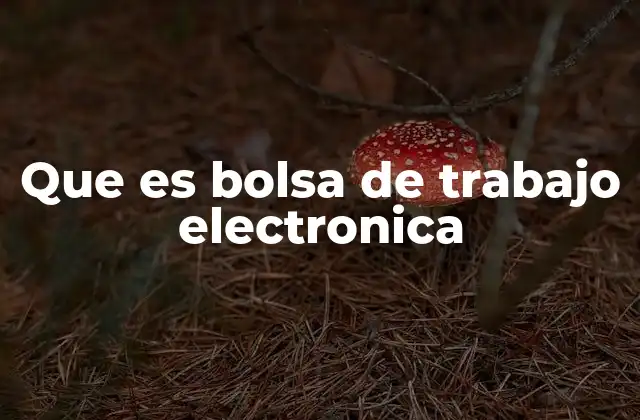 Que es Bolsa de Trabajo Electronica 2 Cómo las bolsas de trabajo electrónicas transforman el mercado laboral