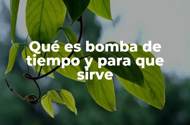 Qué es Bomba de Tiempo y para que Sirve