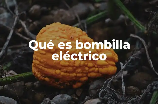 Qué es Bombilla Eléctrico
