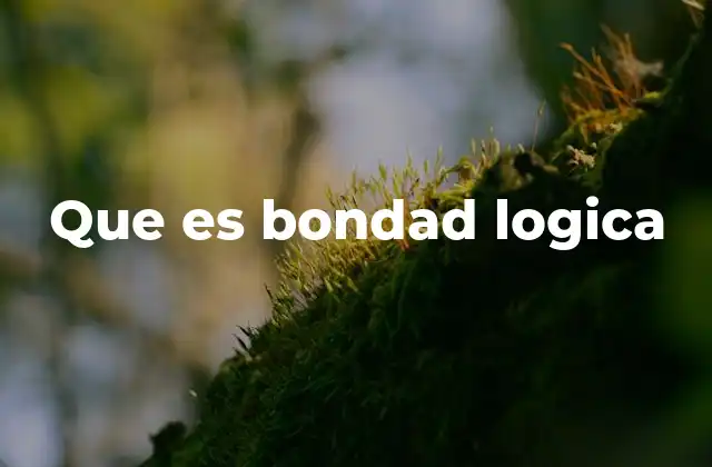 Que es Bondad Logica