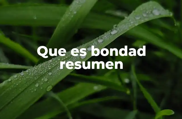 Que es Bondad Resumen