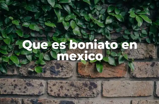 Que es Boniato en Mexico