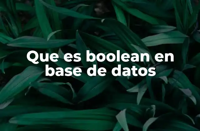 Que es Boolean en Base de Datos