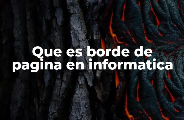 Que es Borde de Pagina en Informatica