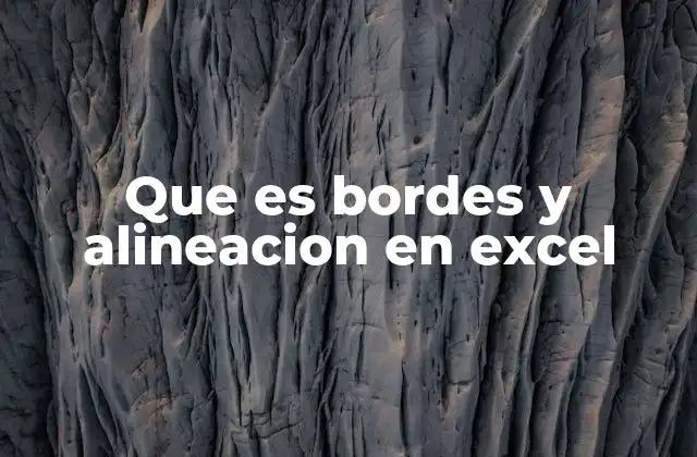 Que es Bordes y Alineacion en Excel