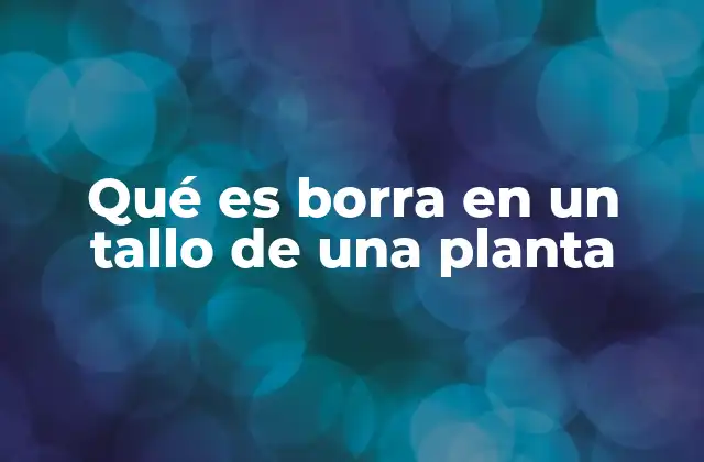 Qué es Borra en un Tallo de una Planta