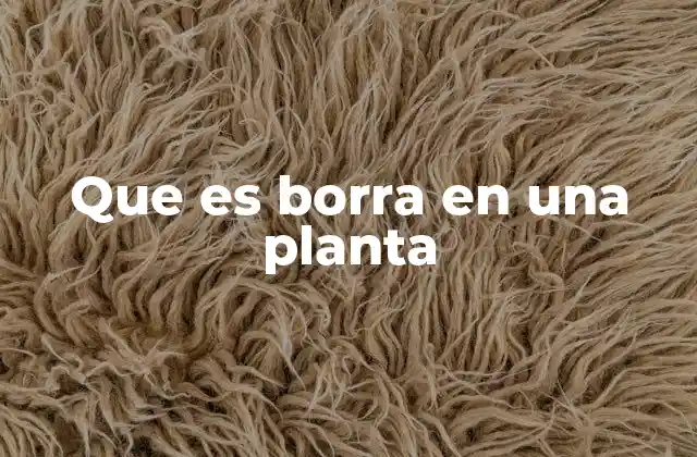 Que es Borra en una Planta