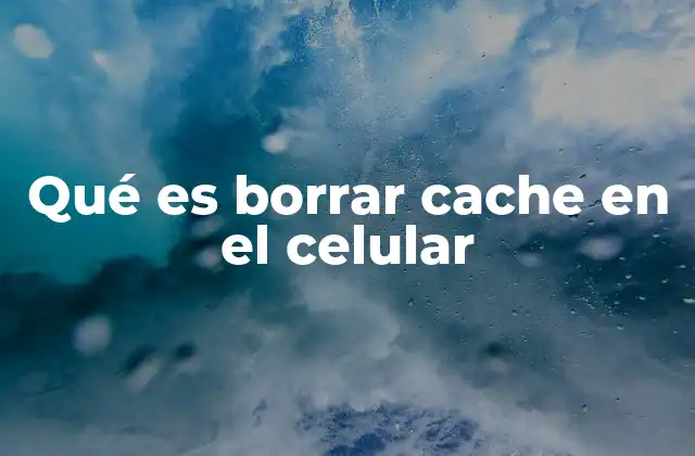 Qué es Borrar Cache en el Celular