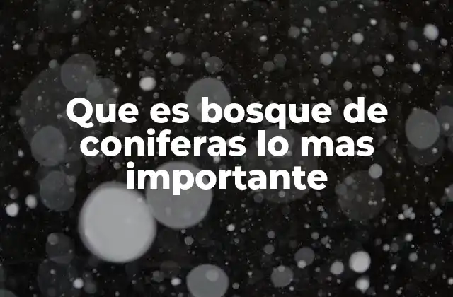 Que es Bosque de Coniferas Lo mas Importante