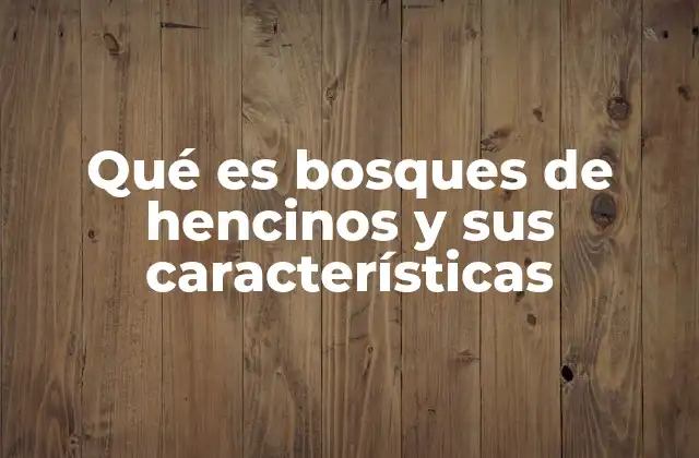 Qué es Bosques de Hencinos y Sus Características