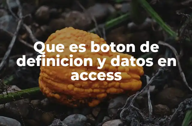 Que es Boton de Definicion y Datos en Access