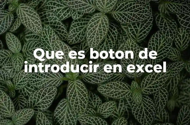 Que es Boton de Introducir en Excel 2 La importancia del botón Enter en la navegación y edición de hojas de cálculo