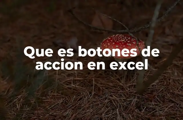 Que es Botones de Accion en Excel