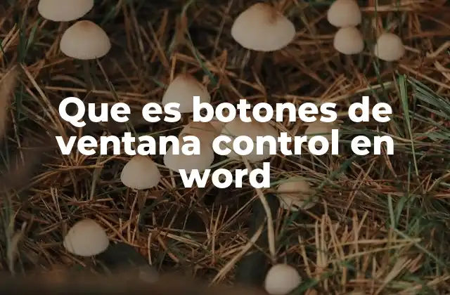 Que es Botones de Ventana Control en Word