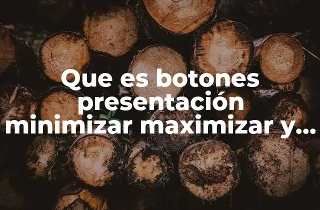La importancia de los controles de ventana en la experiencia de usuario