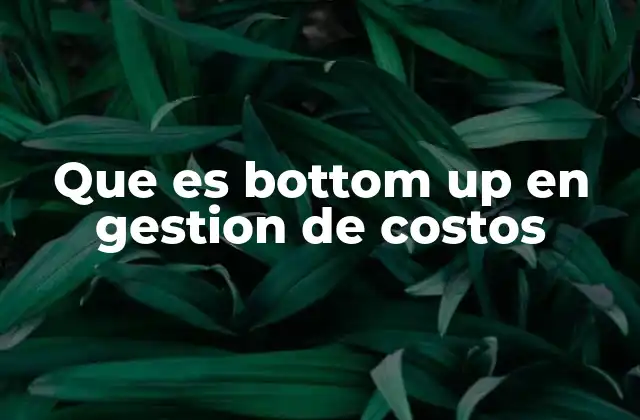 Que es Bottom Up en Gestion de Costos