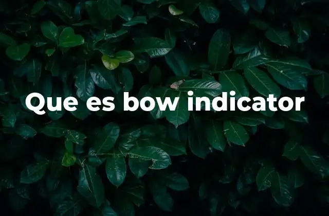 Que es Bow Indicator
