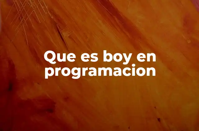 Que es Boy en Programacion