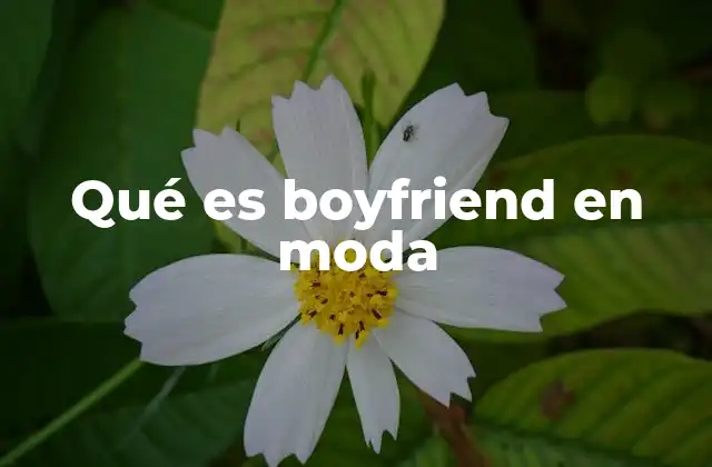 Qué es Boyfriend en Moda 2 La evolución del estilo boyfriend en la ropa femenina