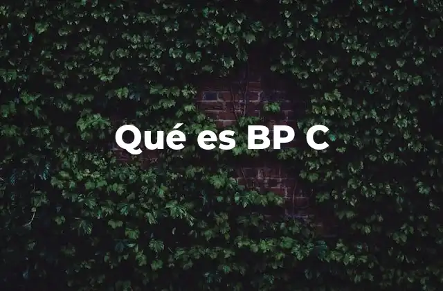 Qué es Bp C