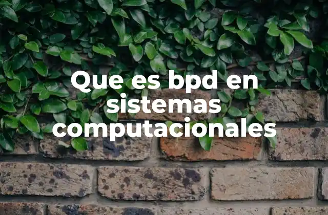 Que es Bpd en Sistemas Computacionales