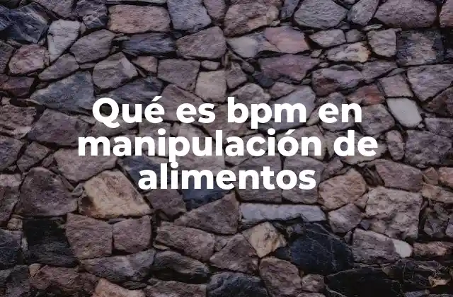 La importancia de medir el bpm en procesos alimentarios