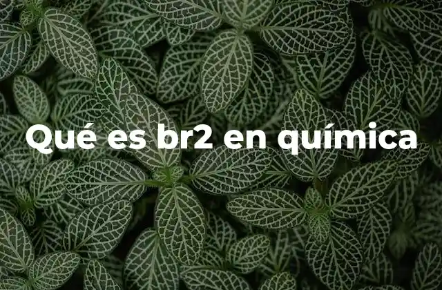 Qué es Br2 en Química