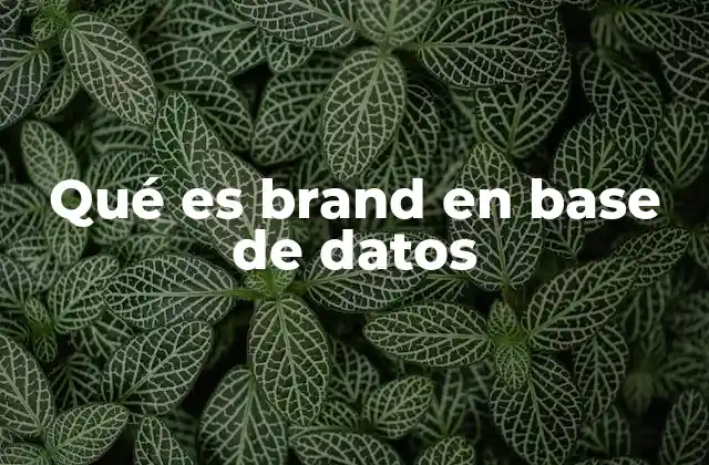 Qué es Brand en Base de Datos