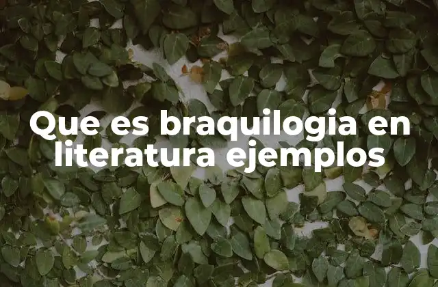 La brevedad como herramienta literaria