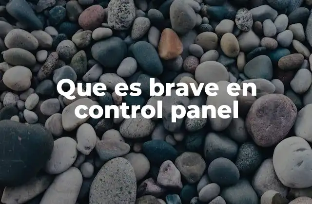 Que es Brave en Control Panel