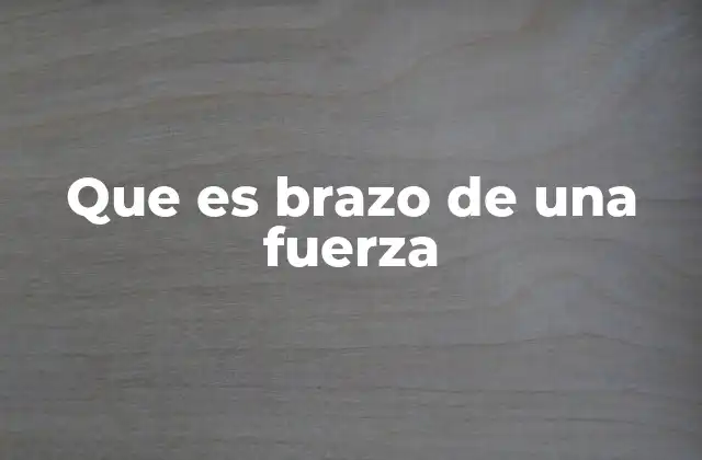 Que es Brazo de una Fuerza