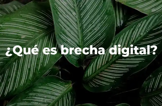 ¿qué es Brecha Digital?