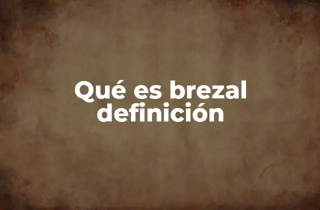 Qué es Brezal Definición