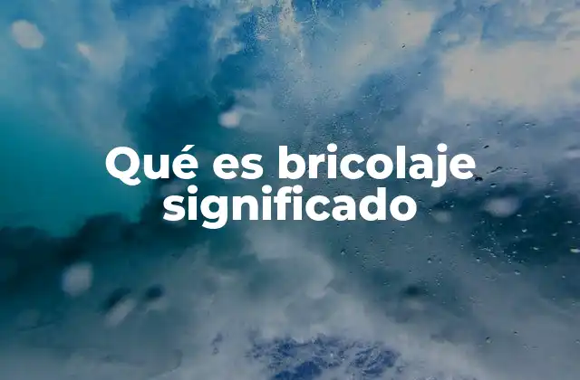 Qué es Bricolaje Significado