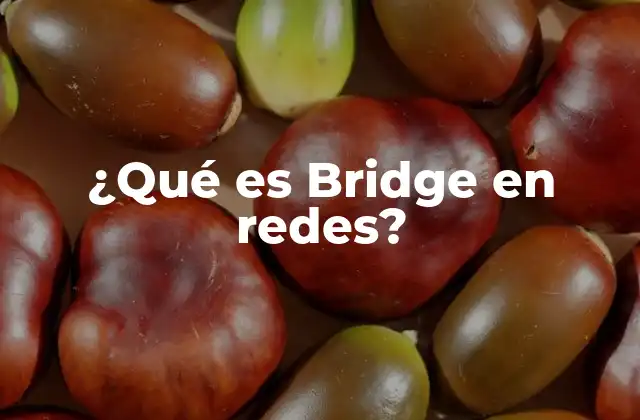 ¿qué es Bridge en Redes?