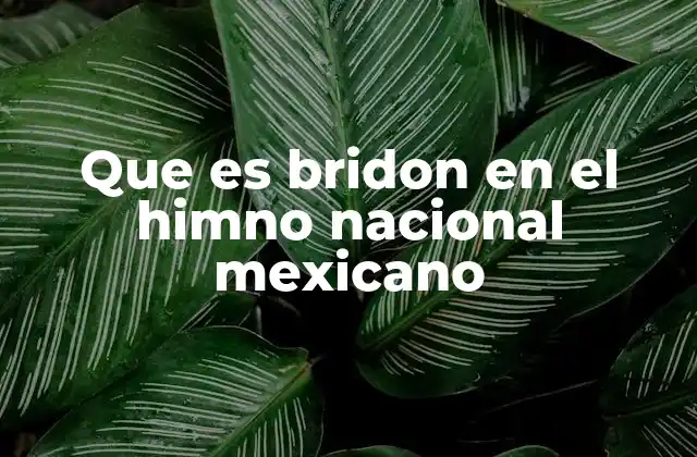 Que es Bridon en el Himno Nacional Mexicano
