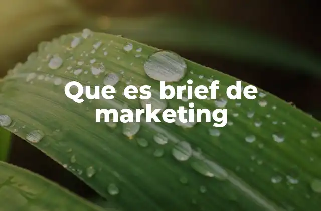 Que es Brief de Marketing