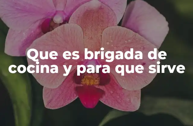 Que es Brigada de Cocina y para que Sirve