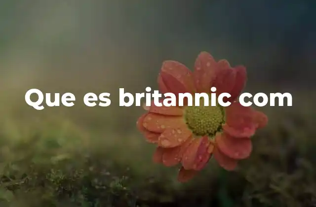 Que es Britannic Com