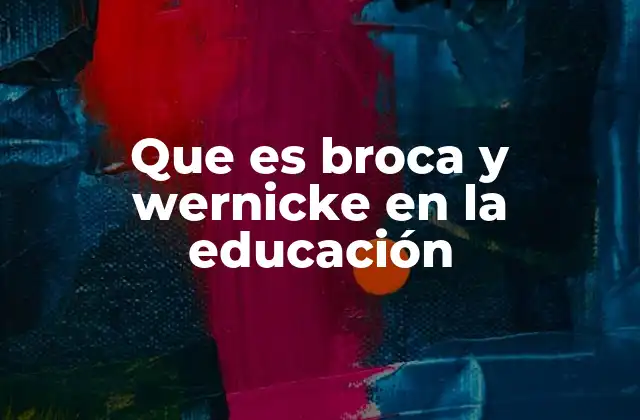 Que es Broca y Wernicke en la Educación