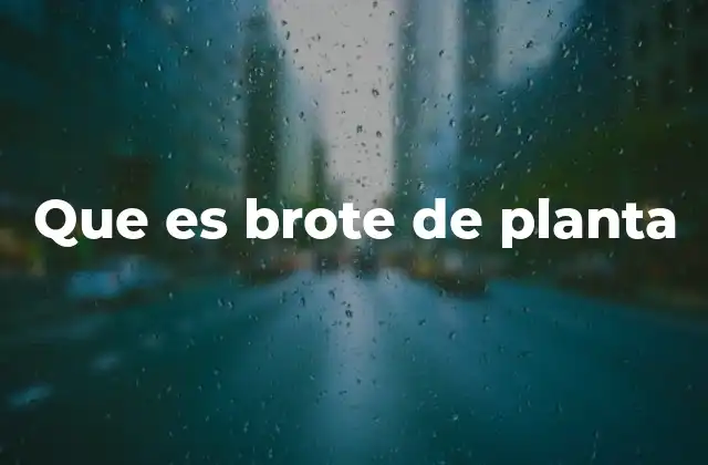 Que es Brote de Planta