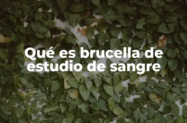 Qué es Brucella de Estudio de Sangre