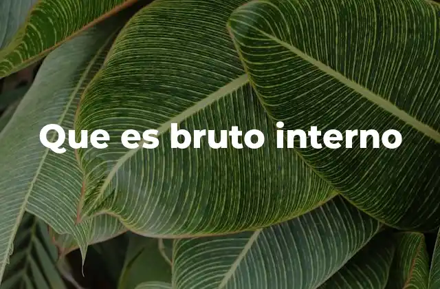 Que es Bruto Interno