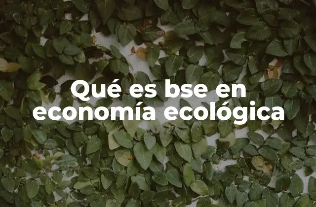 Qué es Bse en Economía Ecológica