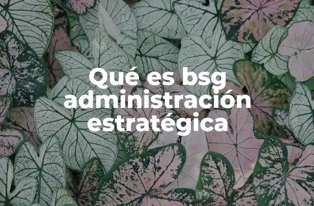 Qué es Bsg Administración Estratégica