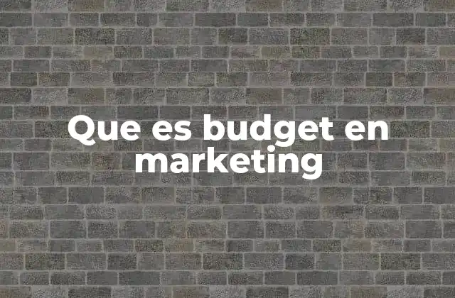 Que es Budget en Marketing
