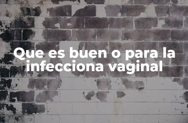 Que es Buen o para la Infecciona Vaginal