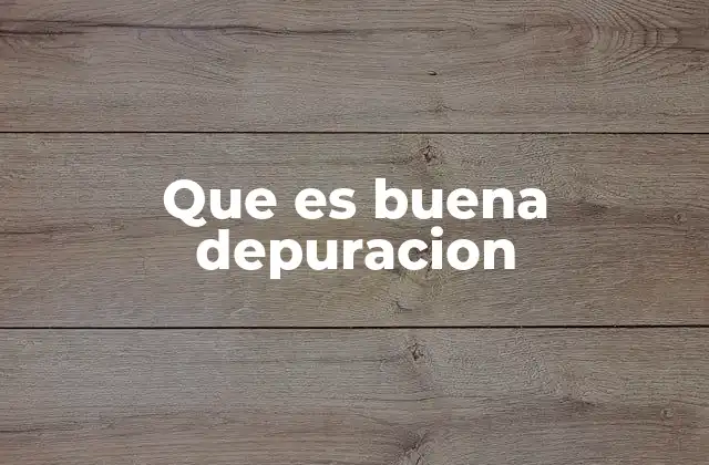 Que es Buena Depuracion